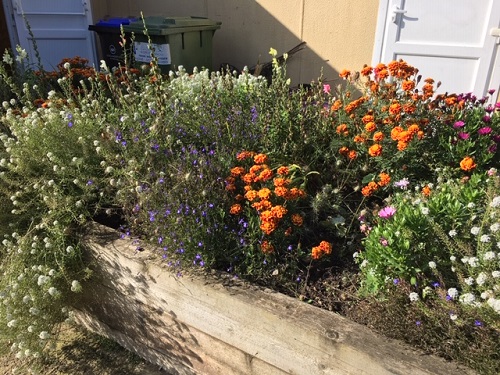 Raised flower bed