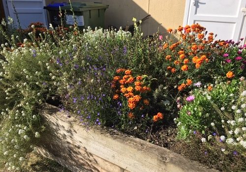 Raised flower bed